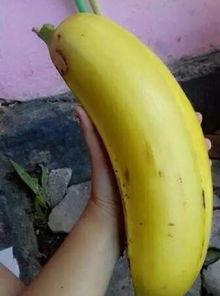 国产情侣大香蕉,甜蜜瞬间，浪漫满溢